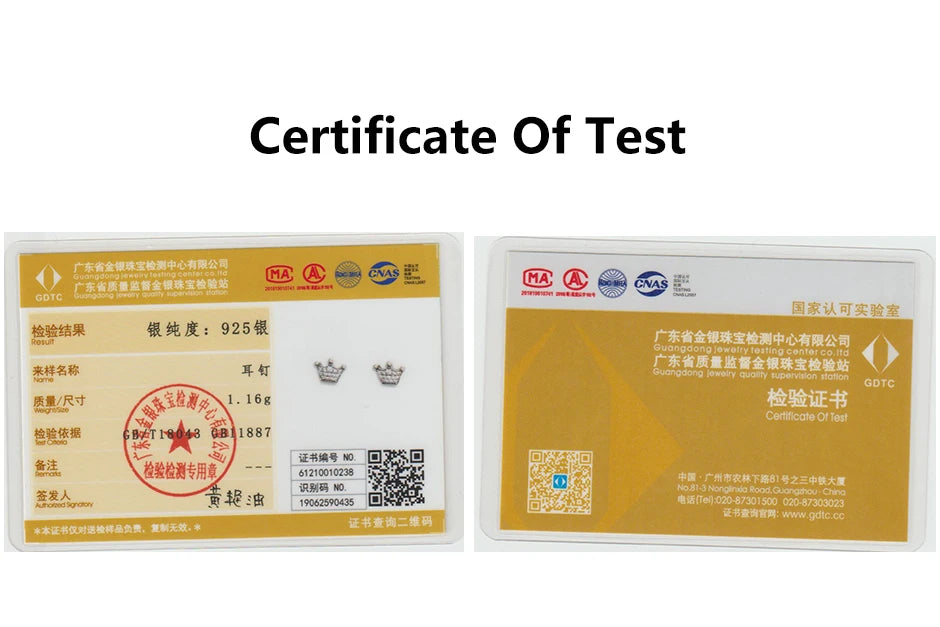 925 Sterling Silver Earrings – Stud & Hoop Set with Crystal, Heart, Crown, Bee & Infinity Designs